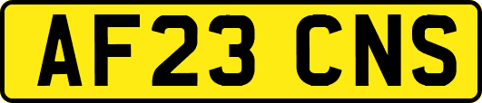 AF23CNS