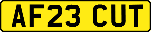 AF23CUT