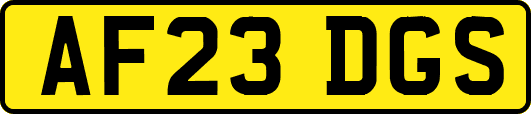 AF23DGS