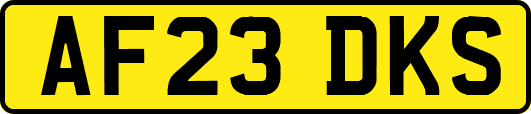 AF23DKS