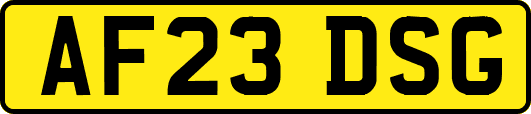 AF23DSG
