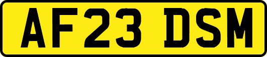AF23DSM