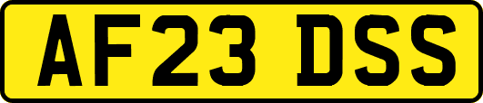 AF23DSS