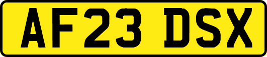 AF23DSX