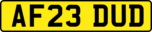 AF23DUD