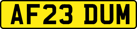 AF23DUM
