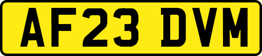 AF23DVM