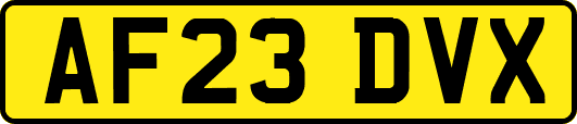 AF23DVX