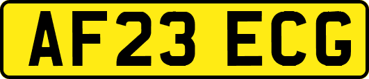 AF23ECG