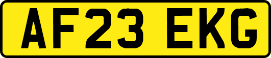 AF23EKG