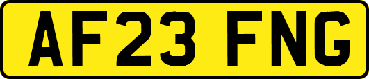 AF23FNG