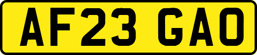 AF23GAO