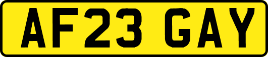 AF23GAY