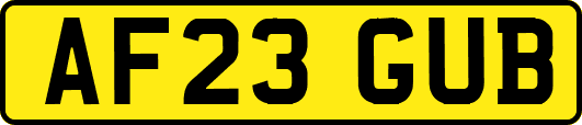AF23GUB