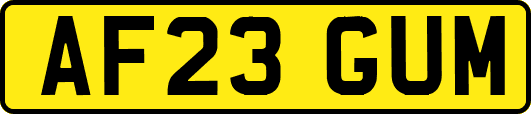AF23GUM