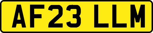 AF23LLM