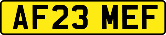 AF23MEF