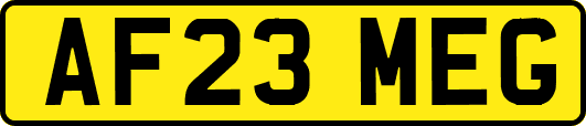 AF23MEG