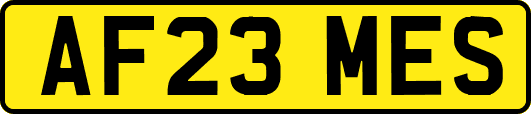 AF23MES