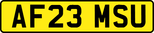 AF23MSU