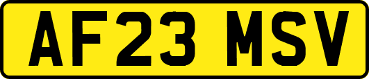 AF23MSV