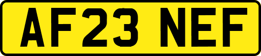 AF23NEF