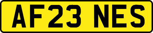 AF23NES