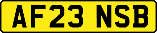 AF23NSB