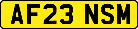 AF23NSM