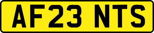 AF23NTS