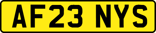 AF23NYS