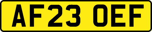 AF23OEF