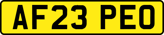 AF23PEO