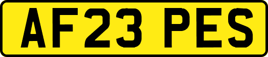 AF23PES