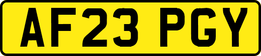 AF23PGY