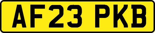 AF23PKB