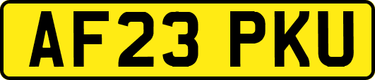 AF23PKU