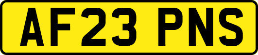 AF23PNS