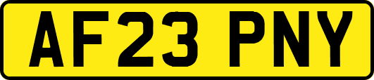 AF23PNY
