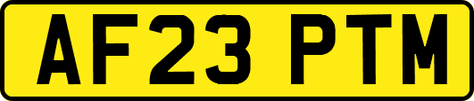 AF23PTM