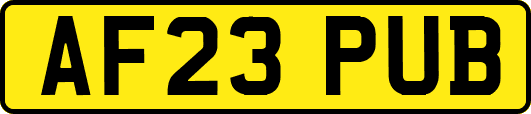 AF23PUB