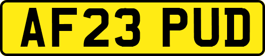 AF23PUD