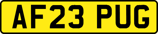 AF23PUG