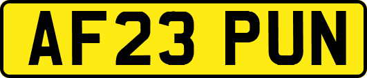 AF23PUN