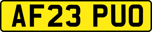 AF23PUO