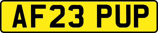 AF23PUP