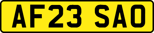 AF23SAO