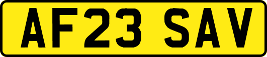 AF23SAV