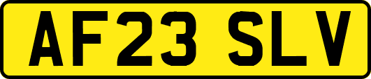AF23SLV