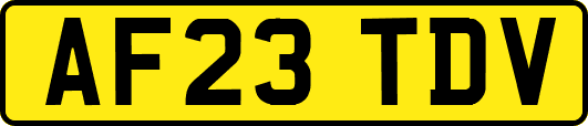 AF23TDV